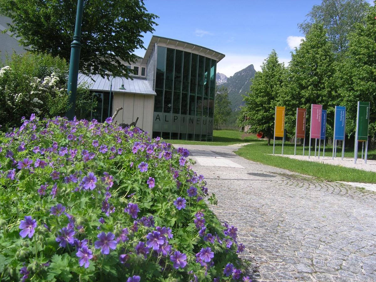 Berg-Panorama-Hof Sturmgut Guest House Hinterstoder Exterior foto